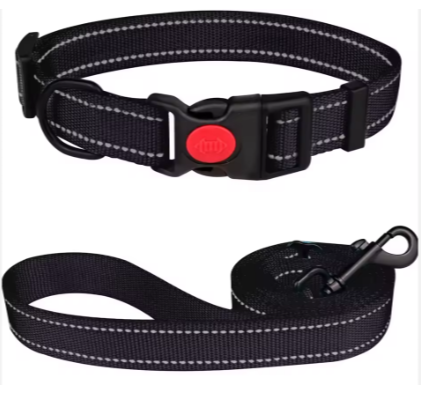 Complete Comfort Dog Collar + Leash Set