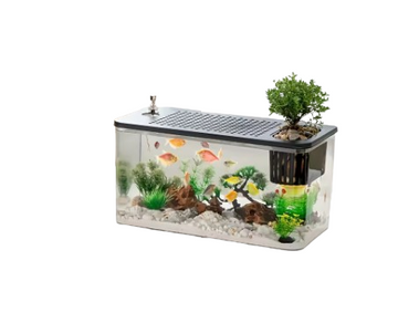 Crystal Clear Aquarium