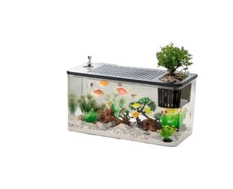Crystal Clear Aquarium